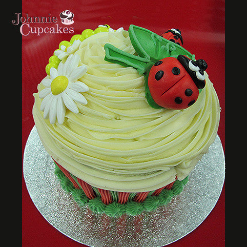 Giant Cupcake LadyBird - Johnnie Cupcakes