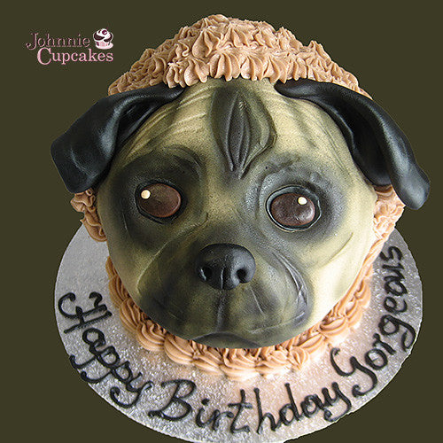Pets Cake - Johnnie Cupcakes