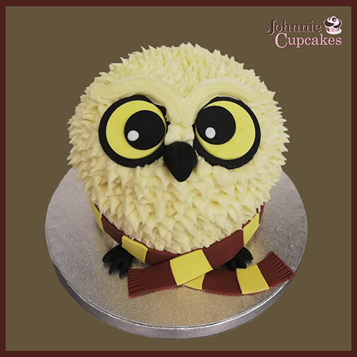 Harry Potter Owl Cake